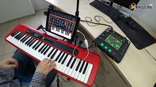 Синтезатор Casio CTS200  Chordana Play Инструкция по подключениюManualMoogminiMoog [upl. by Gnet578]