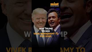 This Is Why donaldtrump Picked vivekramaswamy To Run DOGE With elonmusk [upl. by Martel184]