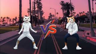 Bling Bang Bang Born song VS Kolors song Cats Dance Battle [upl. by Nibot]