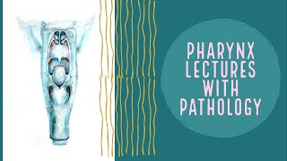 PHARYNX lecture 4 HYPOPHARYNX in deatil and PYRIFORM fossa complete explanation [upl. by Eninahpets]