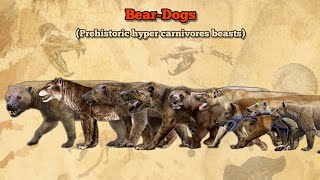 BEARDOGS  Size Comparison  Amphicyonids Hyaenodonts [upl. by Aihtibat]