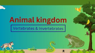 Classification of Vertebrates amp Invertebrates  Animal kingdom  Grade 7 [upl. by Ylnevaeh]