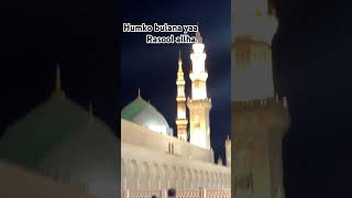 Ya rasollahowaiserazaqadri naat dreammadinasad [upl. by Nonnahsal]