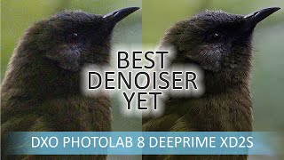 DxO PhotoLab 8 Elite  Noise Reduction Tested and Compared [upl. by Venice]