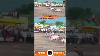 KIKALI MAIDAN SEMI 6 bailgadasharyat bakasur [upl. by Raquela]