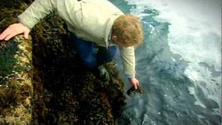 Gordon Ramsay goes Lobster Fishing with Jeremy Clarkson  The F Word [upl. by Lyrahc]