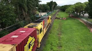 900 Subscriber Special Pinkenba freight trains 2024 [upl. by Waldman]