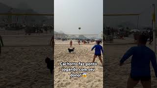 Cachorro viraliza jogando no Rio de Janeiro foryou futebol cachorros viralvideo [upl. by Tillman]