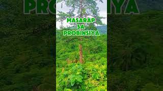 buhay probinsya [upl. by Atnas]