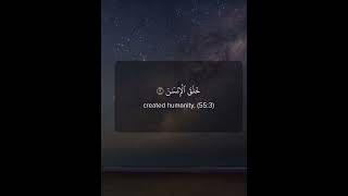 SuratulRahman please just listen for 25 seconds 🙏🤌  islamicvideo quran recitation youtoube [upl. by Nevlin]