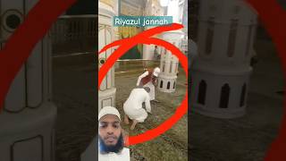 Riyazul jannah keşfet madinahlive mecca makkahlive riyazuljannah reelsvairal [upl. by Annaiuq]