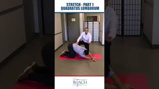 HOW TO REMOVE BACK PAIN  QL Quadratus Lumborum Stretch [upl. by Akselav]