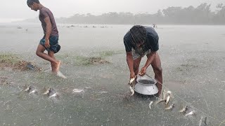 জ্যৈষ্ঠ মাসের বজ্রপাত ও ঘন বৃষ্টির মধ্যে উজানো মাছ শিকার।। Village Fishing in Havvy Rainy Day [upl. by Till540]