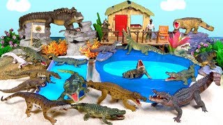 Crocodiles Alligators Reptiles Gators Crocs Caiman Gharial Ancient Crocodilians [upl. by Ylimme]