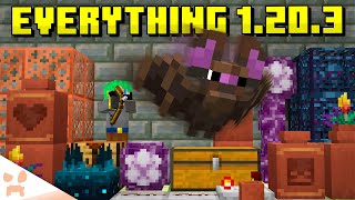 EVERYTHING In Minecraft 1203 [upl. by Acinoreb]