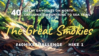 The Great Smokies  Ep 36  1 40 Hike Challenge on NC’s Mountains to Sea Trail [upl. by Lavella]