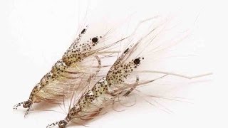 Fly tying quotPro Dotted Shrimpquot Saltwater shrimp Stepbystep tutorial [upl. by Shue]