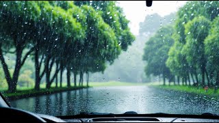 🔔 ️️⛈️ Drowsy Rainstorm Inside a Car ASMR [upl. by Nettirb162]