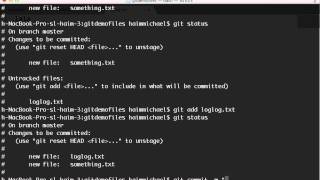 The git checkout Command in Git [upl. by Aneram810]