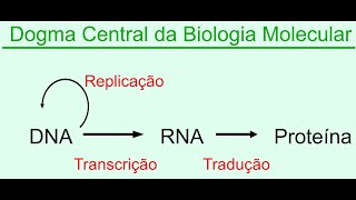 Dogma central da biologia molecular Replicação Transcrição e Tradução DNA e RNA [upl. by Anoblav]