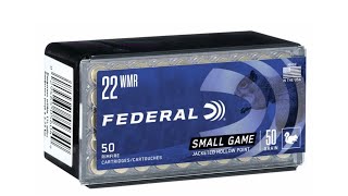 Federal 50 grain 22 Magnum test part 1 [upl. by Eylsel]