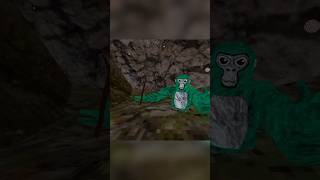 Sight test Gorilla tag gorillatag vr like [upl. by Chip]