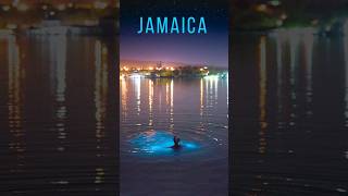 Jamaica Glowing Water Experience  Luminous Lagoon Glistening Waters [upl. by Ayitahs]