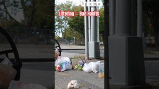 Littering Bad Habits  Environmental Pollution ytshorts [upl. by Eniamirt492]