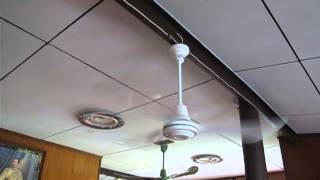 48quot HUSAN Ceiling fan Model 2004 CF48F WHITE [upl. by Fortunato637]