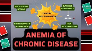 Anemia of Chronic Disease [upl. by Notniuqal]