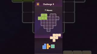 Block King Challenge Level 9 [upl. by Latashia]