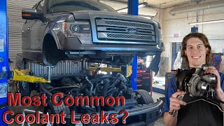 Ford F150 Most Common Coolant Leaks  35 EcoBoost V6 [upl. by Fara]