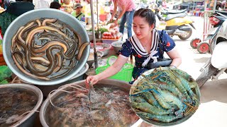 Eel sour soup Eel spicy stir fry Ocean fish sour soup fish grilling and river prawn garlic recipe [upl. by Alain818]