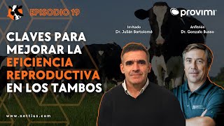 19 Claves para mejorar la eficiencia reproductiva en los tambos  Dr Julián Bartolomé  Dairycast [upl. by Jacquenetta]