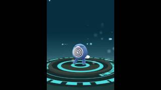 POKEMON GO Poliwag Evolution [upl. by Ikkir]