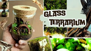 Small Open Glass Terrarium  Mini Ecosystem  TERRARIOO [upl. by Viafore]