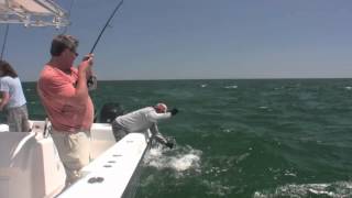 Cape Cod Striper Fishing Floating Big Baits in the Rips [upl. by Anitnahs640]