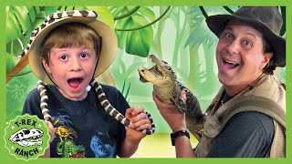 Alligator Park Surprise Adventure TRex Ranch  Jurassic Quests for Kids [upl. by Boswell]