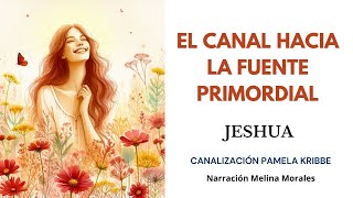 EL CANAL HACIA LA FUENTE PRIMORDIAL💗💫 Mensaje de Jeshua 🦋Canalización Pamela Kribbe [upl. by Ajiam]