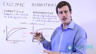 Types of Enzyme Inhibition Competitive vs Noncompetitive  MichaelisMenten Kinetics [upl. by Phelia]