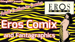 Adult Erotica in Comics Eros Comix and Fantagraphics comics eroscomix fantagraphics [upl. by Eniarda]