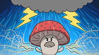 How Mushrooms Make It Rain [upl. by Alic76]