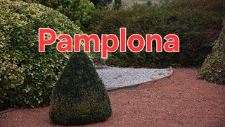 Spain Tours Travelling City Pamplona [upl. by Nrehtac]