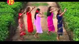 Phool Baganer Malini  Tushar Arjun  Barnali Kalita  Superhit Baganiya song Assam [upl. by Alida]