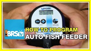 How to program the Lifegard Intellifeed Auto Feeder  BRStv HowTo [upl. by Clein540]