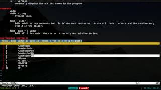 Vidir  Bulk Rename Files  Linux CLI [upl. by Notla]