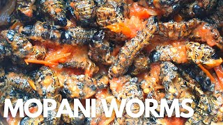 How To Cook Mopani Worms  Masonje Recipe  South African Youtuber [upl. by Kirtley987]