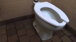 Clogged Toilet at Shoneys Kohler Toilet [upl. by Ahsi148]