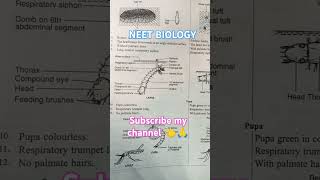 CULEX amp ANOPHELES DIFFERENTMotivationalshortsvideo gkgsneetncertbiologyneetbiologytgtpgtexam [upl. by Enomed]