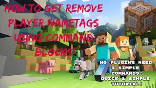 Minecraft 114  How To Hide Player NameTags No Plugins Needed [upl. by Stelle]